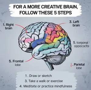 brain