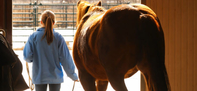 Horse boarding at the Coves