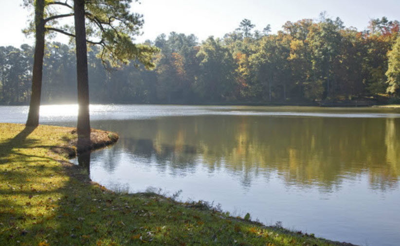 A peaceful stretch of river.