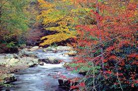 Smoky Mountains National Park