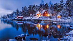 beauty of winter