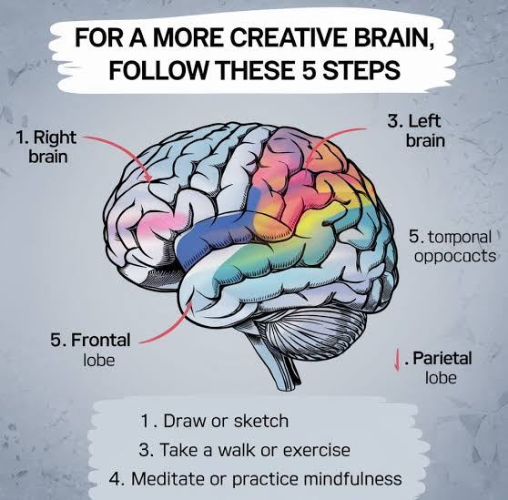 brain brain