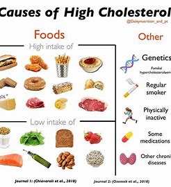 causes of high cholesterol