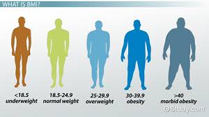 bmi relative sizes bmi relative sizes