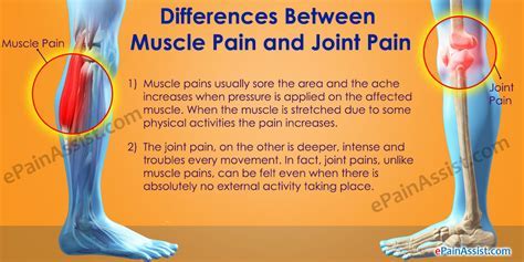 joint and muscle pain