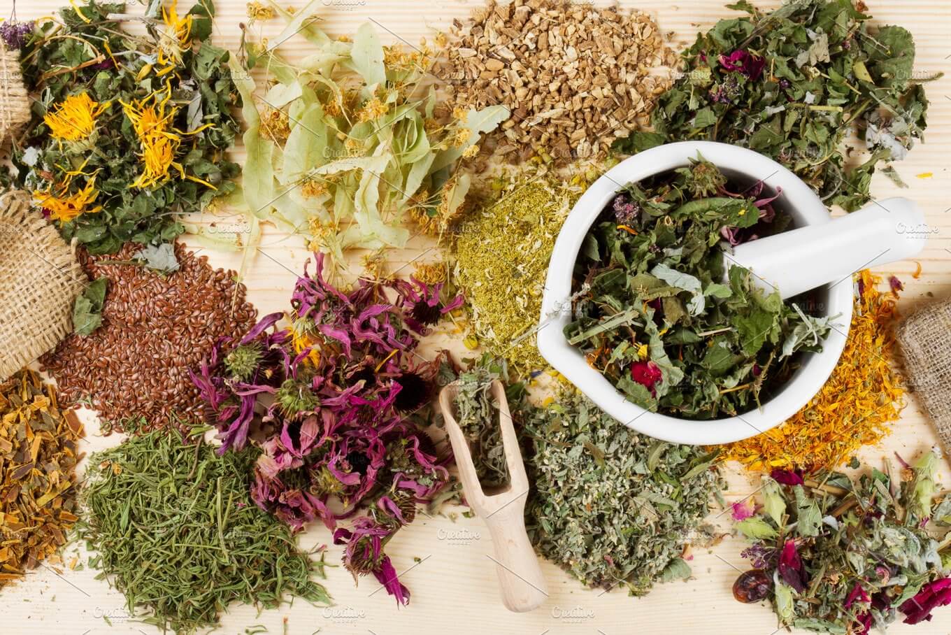 medicinal herbs