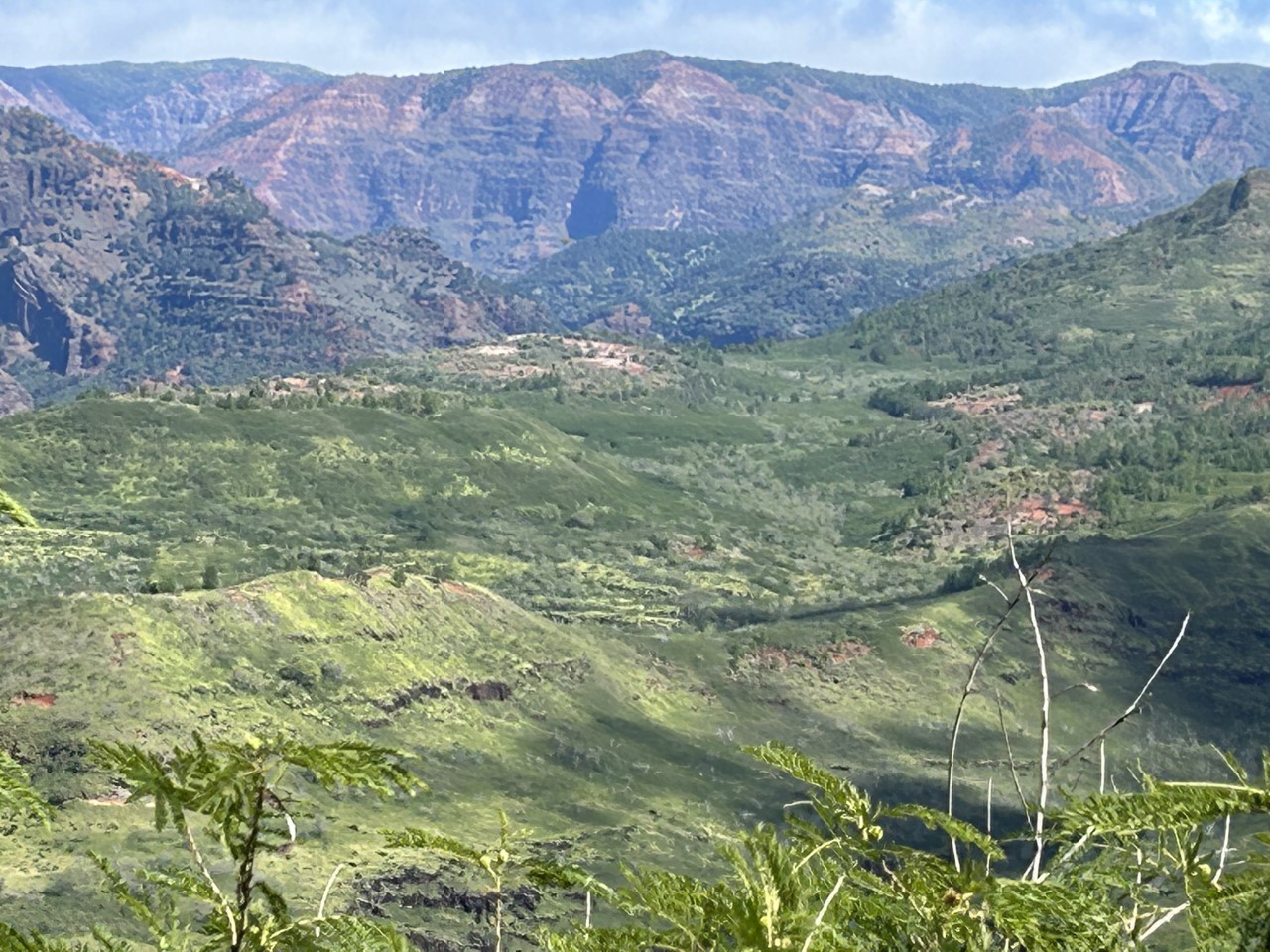 View from bottom of canyon