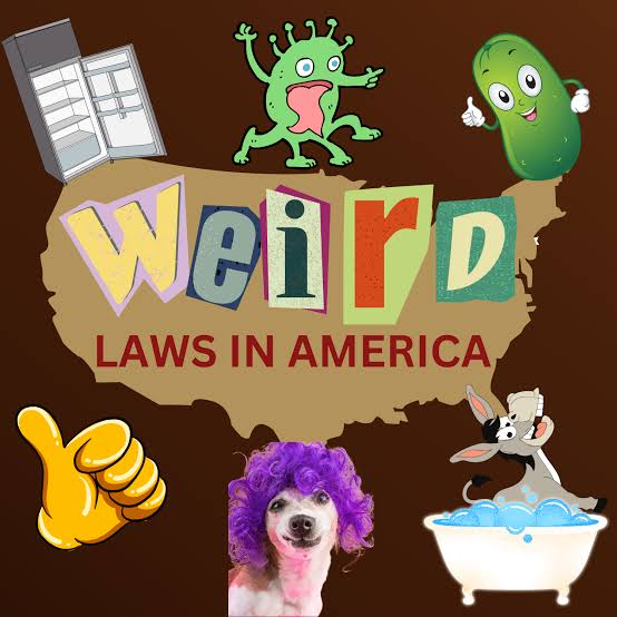 wacky laws 4 wacky laws 4
