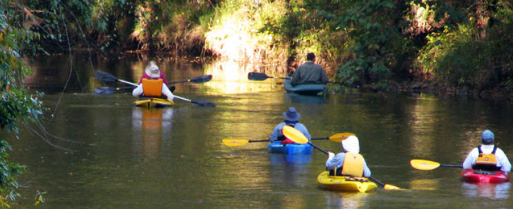 Canoeing at the Coves