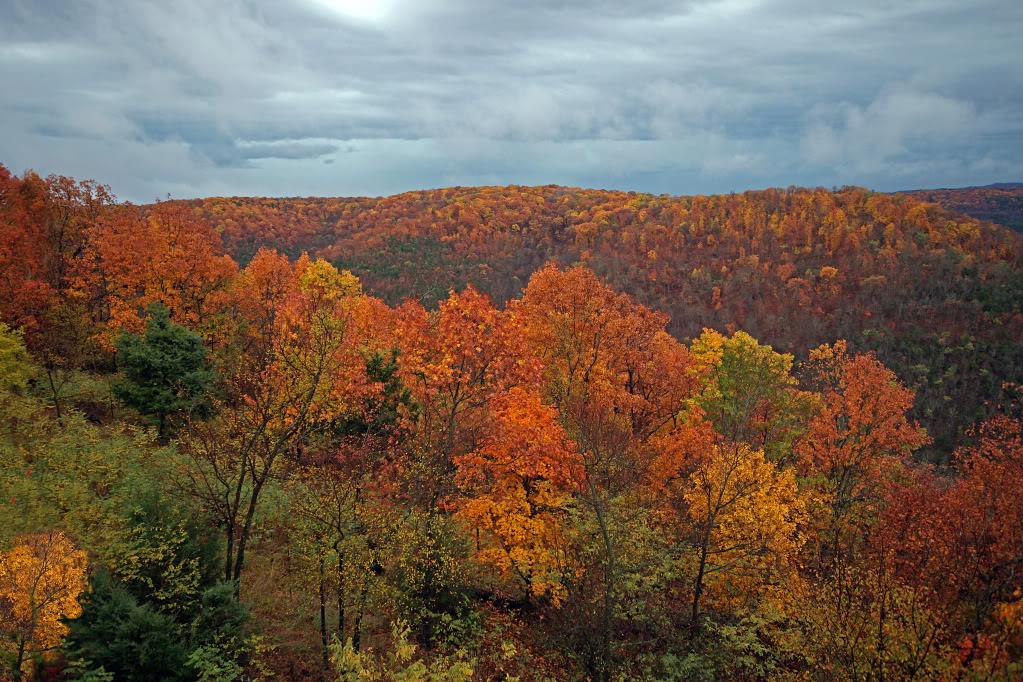 Fall Colors at Holiday Island in Arkansas