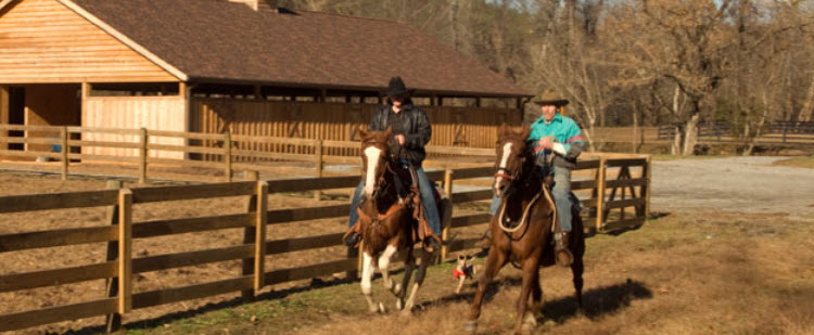 Horseback riding at the Coves