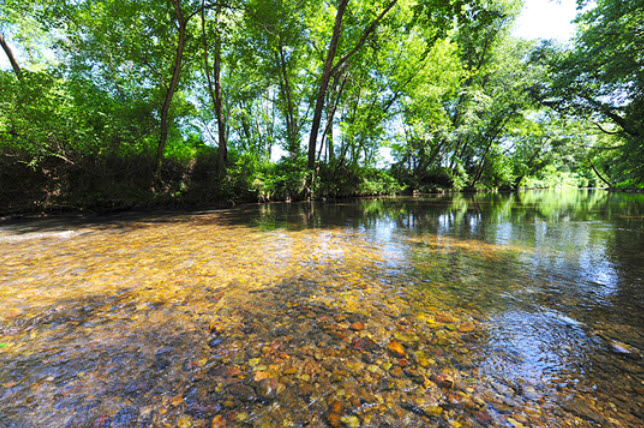 River Glade at the Coves