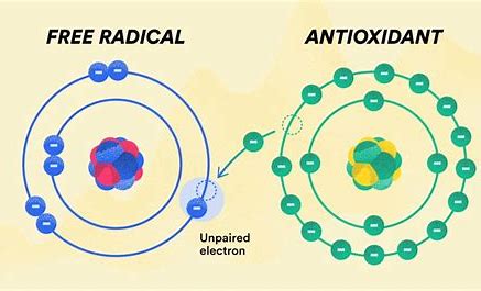 free radicals