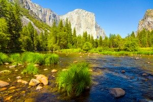 Mountains in Yosemite