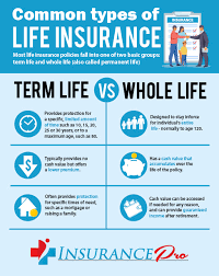types of insurance types of insurance