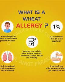 wheat allergy